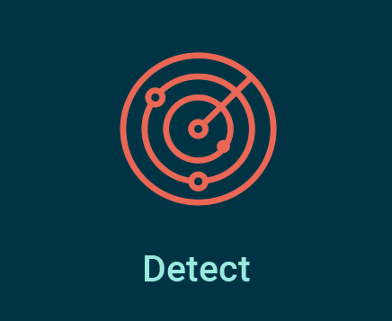 Detect